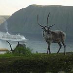 Cruise Norwegian Fjords
